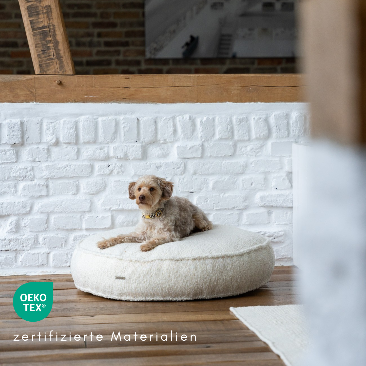 Hundekissen Onda