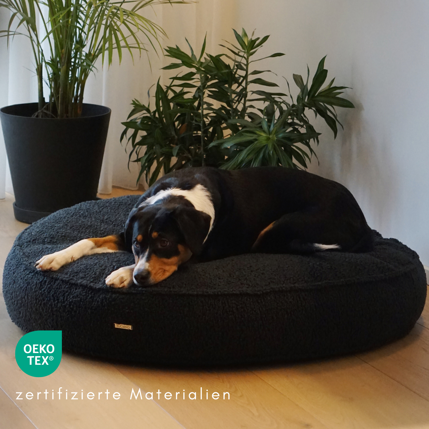 Hundekissen Onda