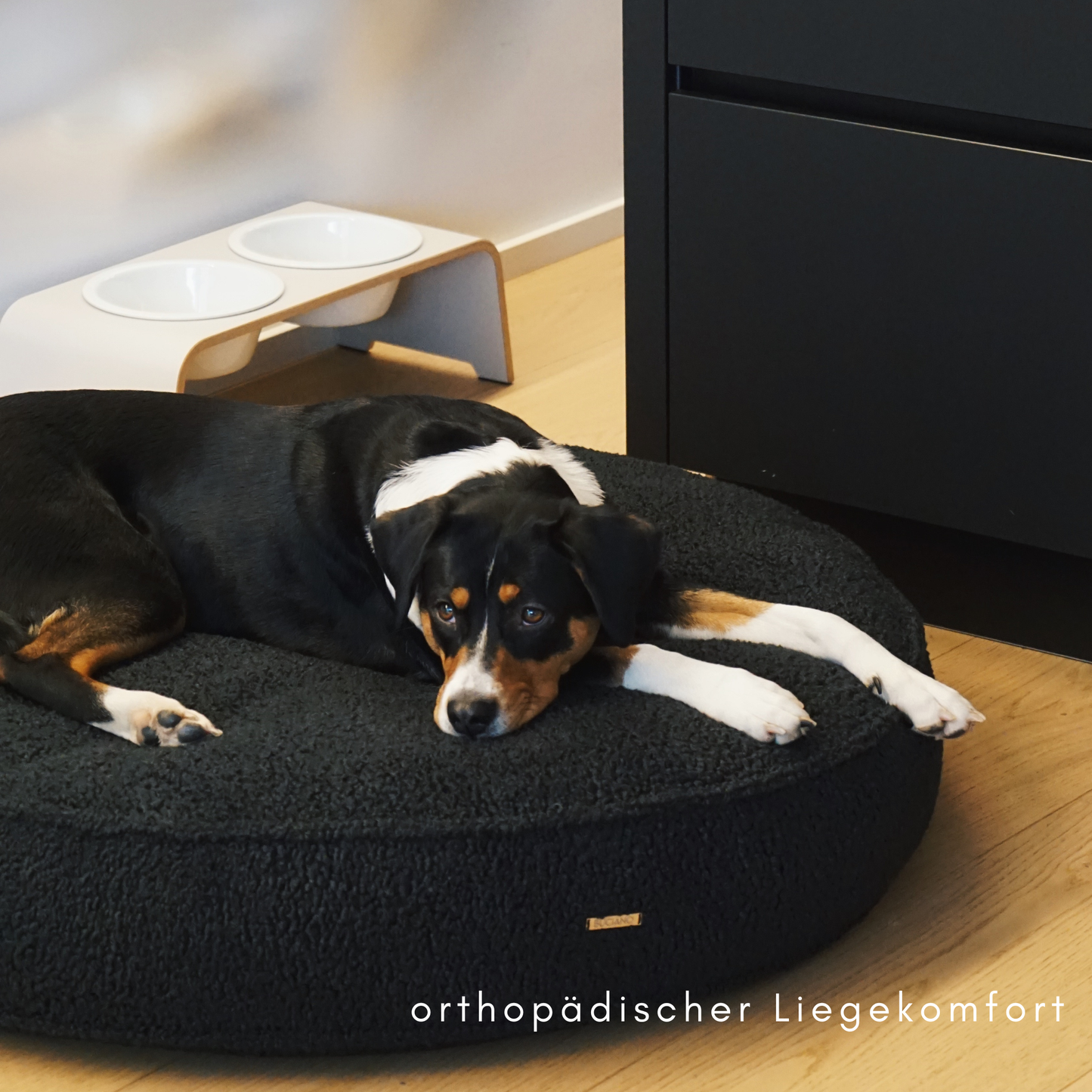 Hundekissen Onda