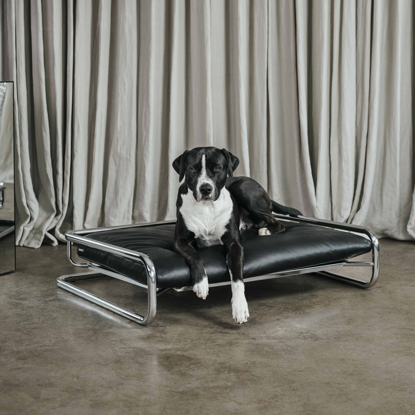 ENIF - Design Hundebett Chrom