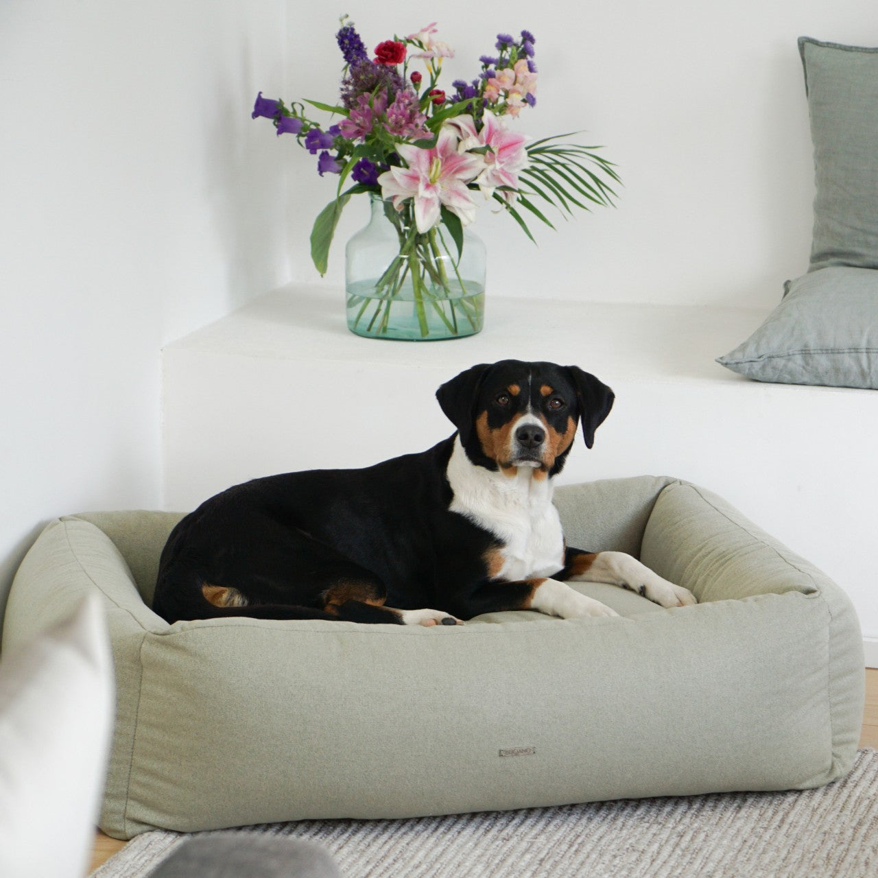 Hundebett Contar