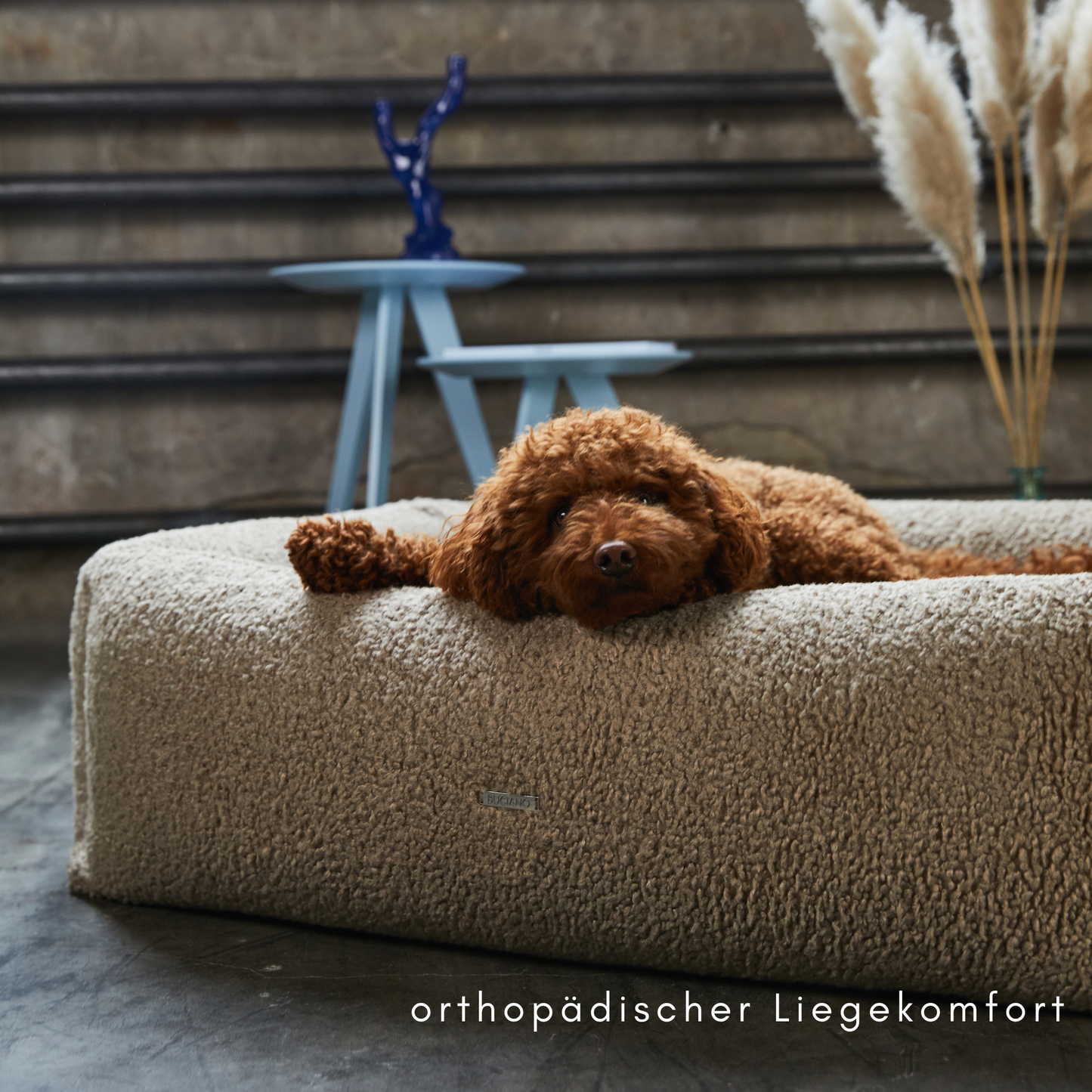 Hundebett Oreo