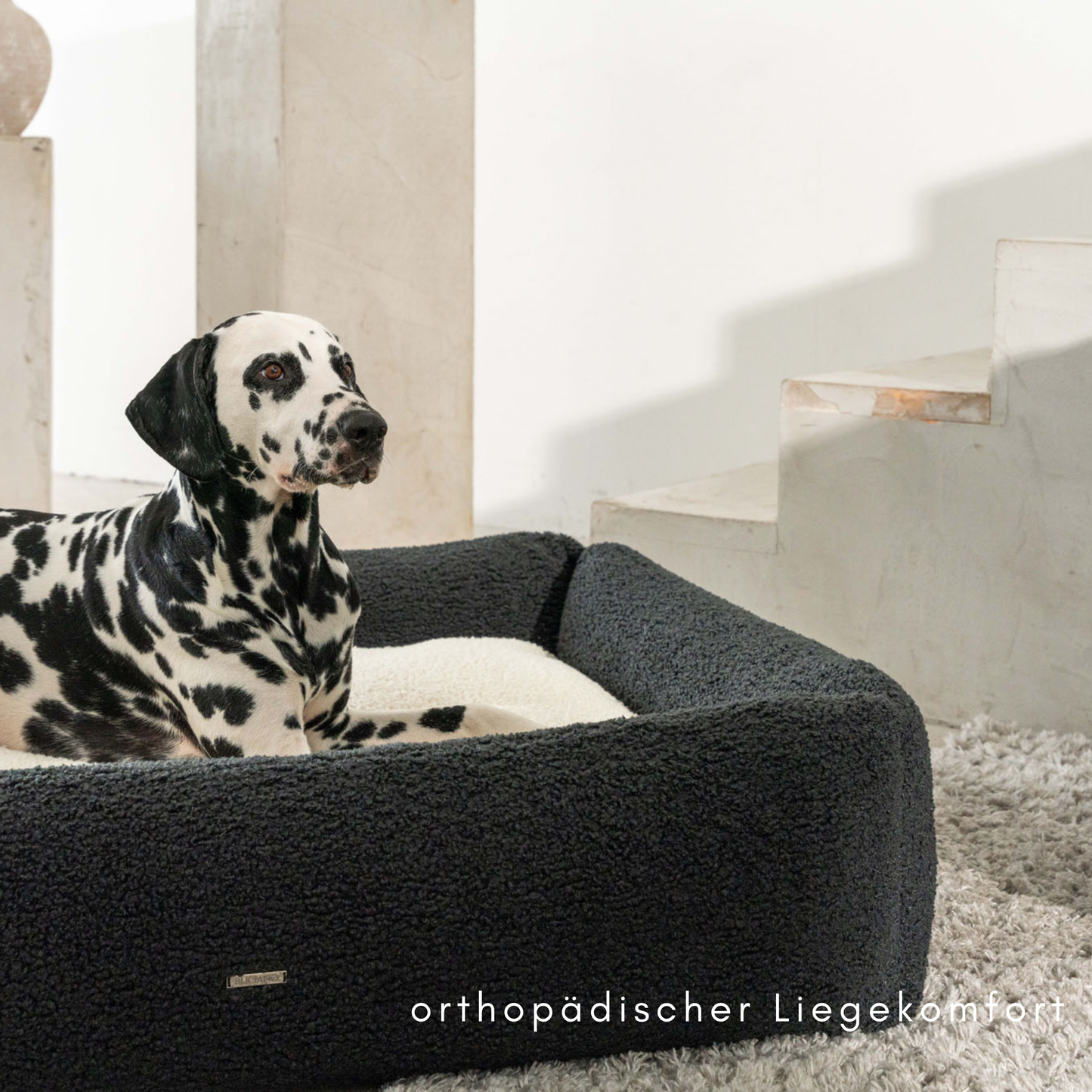 Hundebett Oreo