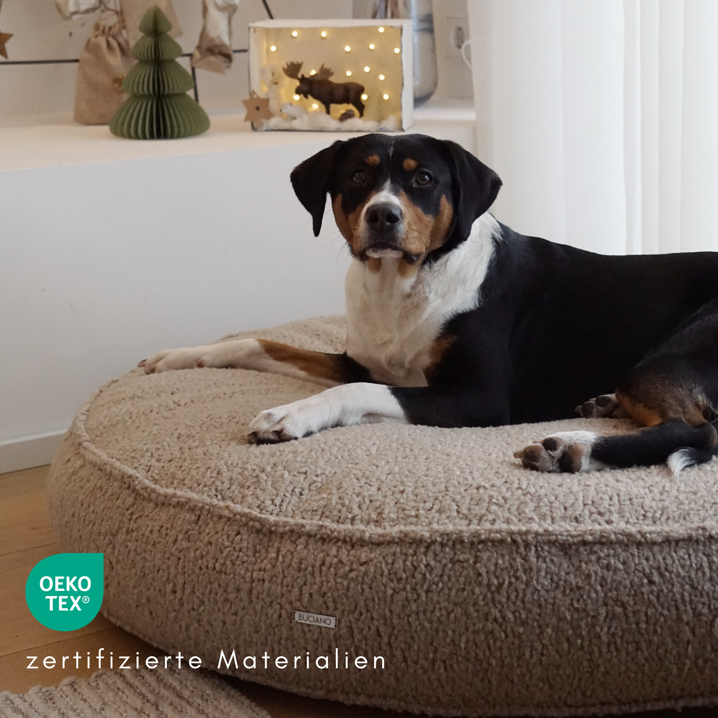 Hundekissen Onda