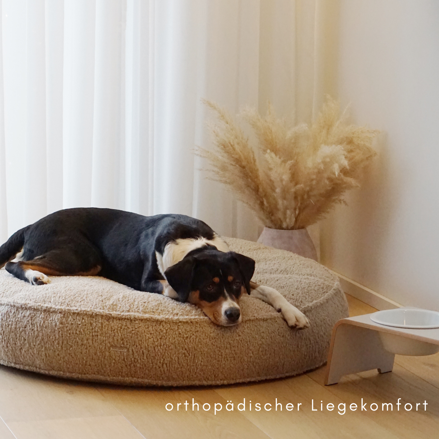 Hundekissen Onda