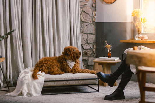 Cordstoff im Interieur: Zeitlose Eleganz und nachhaltiger Stil für deine Wohnräume