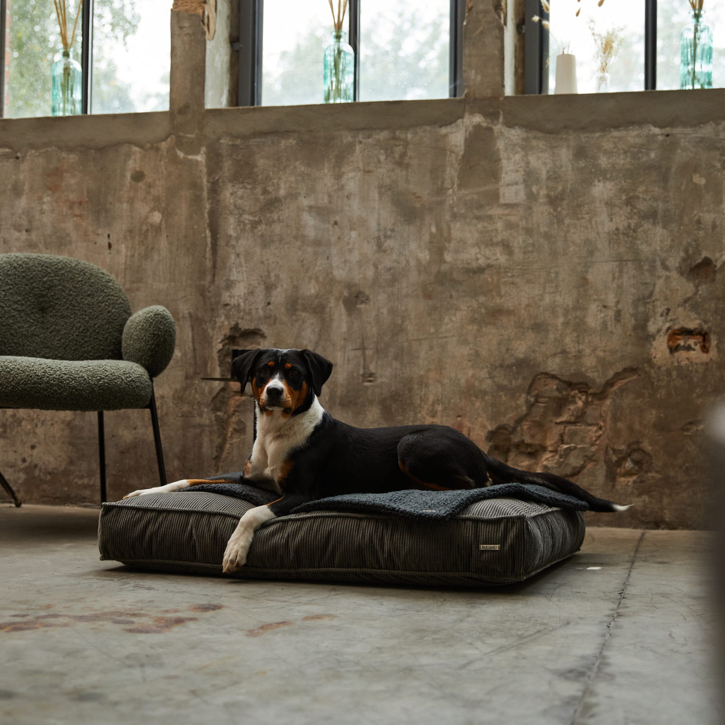 Bundle Hundekissen Leia x Decke Rubi