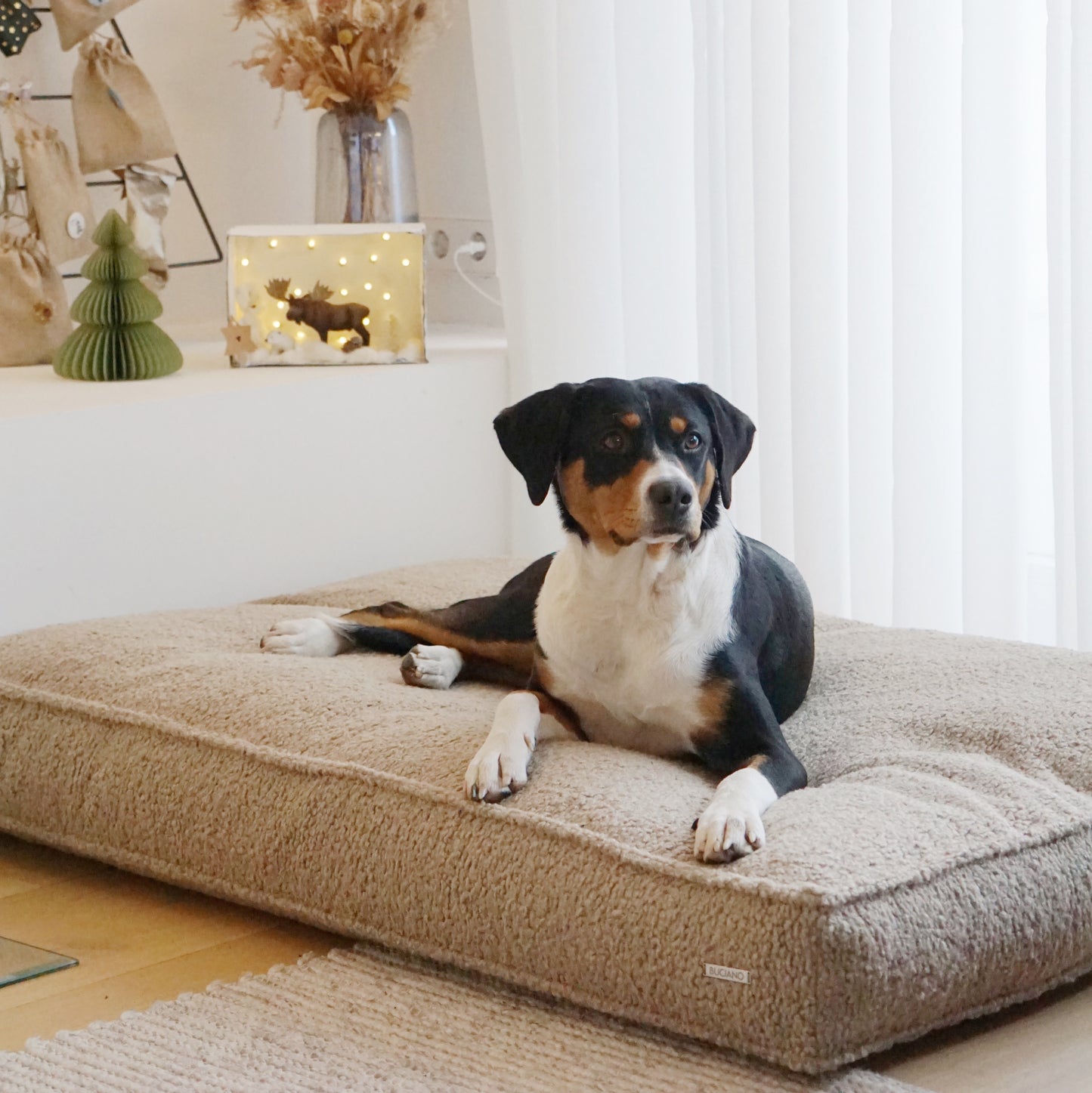 Hundekissen Nova