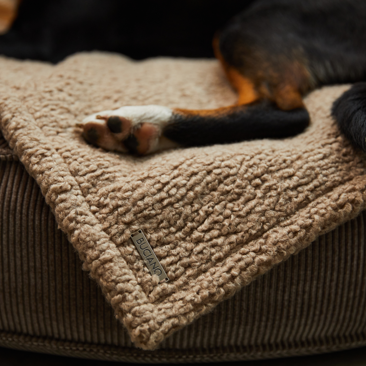 Bundle Hundekissen Mira x Decke Rubi