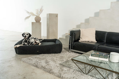 Hundebett Oreo in schwarz Bouclé