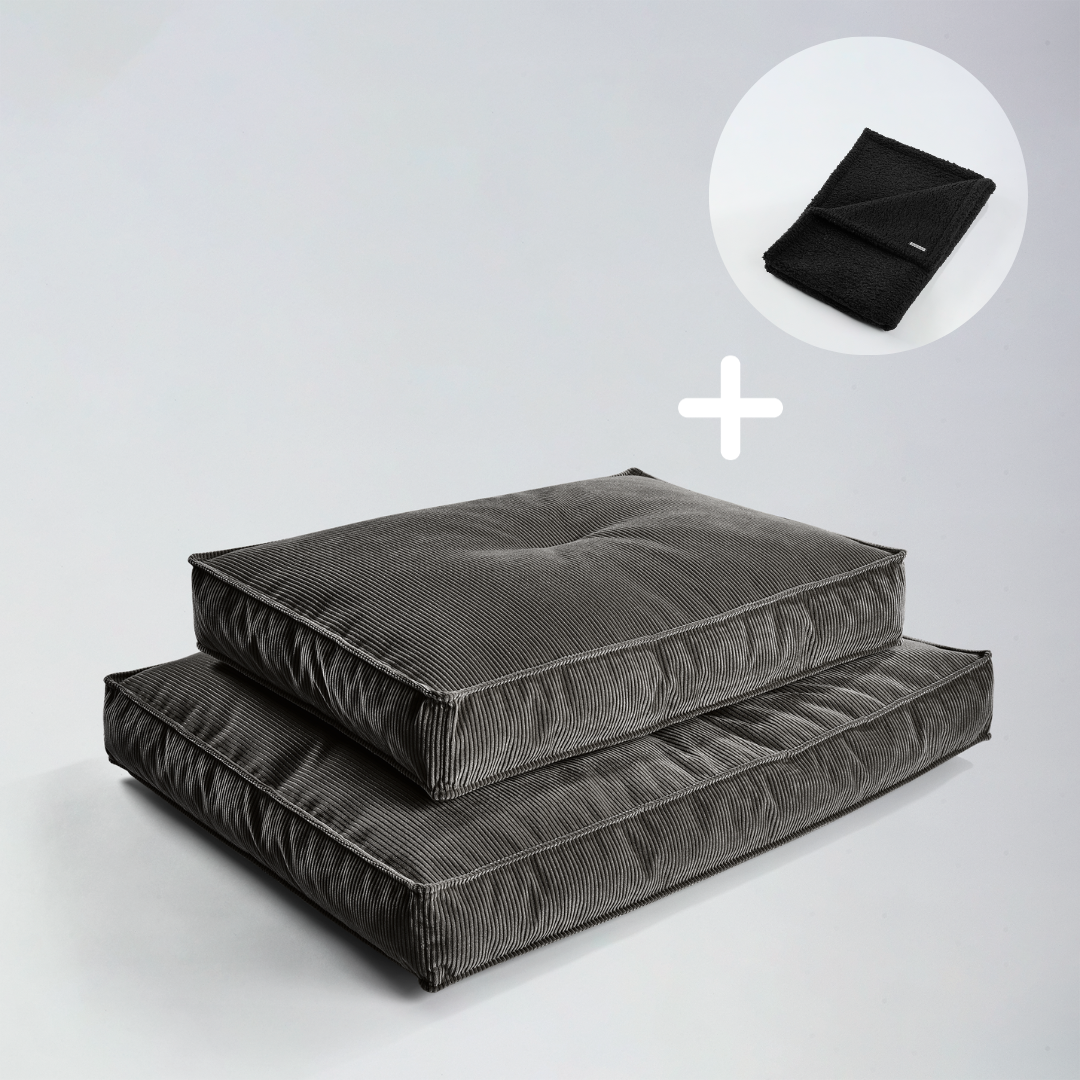 Bundle Hundekissen Leia x Decke Rubi