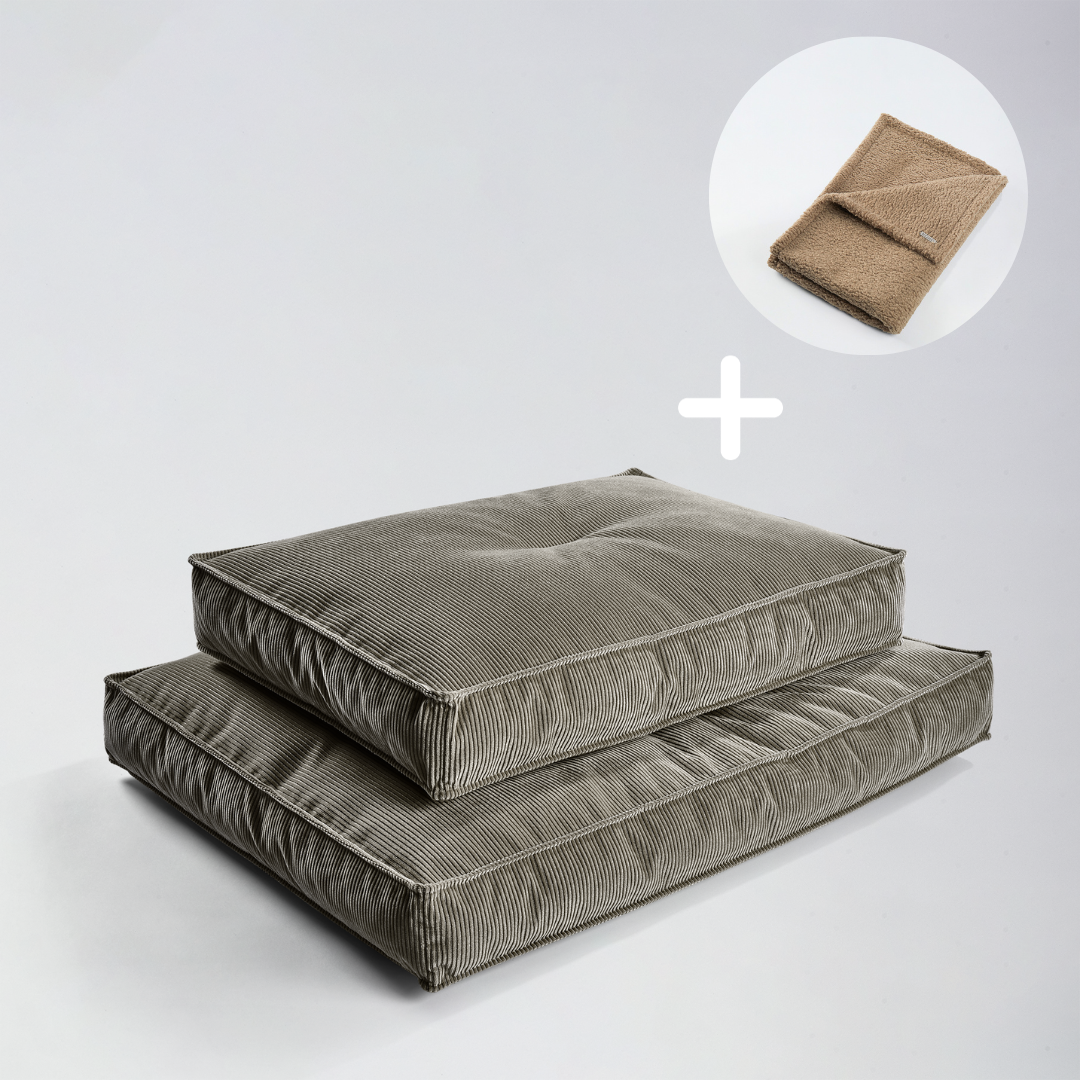 Bundle Hundekissen Leia x Decke Rubi