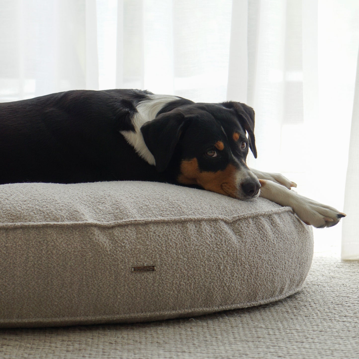 Hundekissen Amy