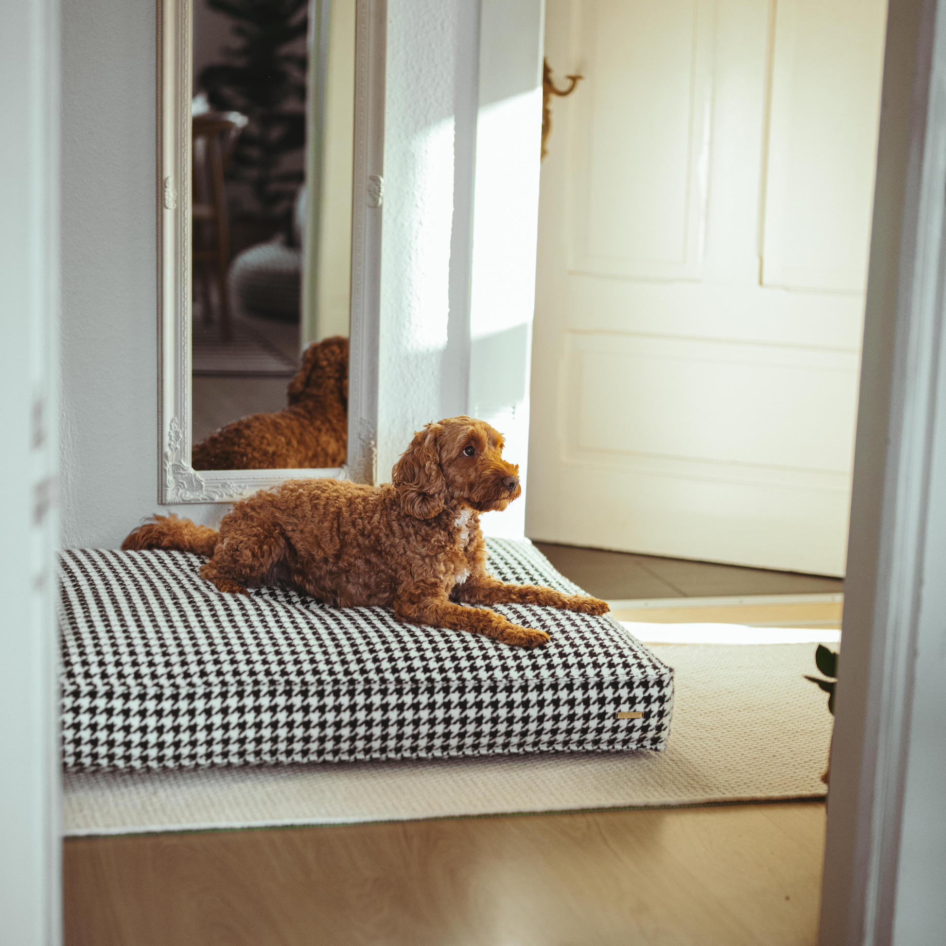 Rechteckiges Hundekissen Coco im Hahnentrittmuster – inspiriert von Chanel & Dior