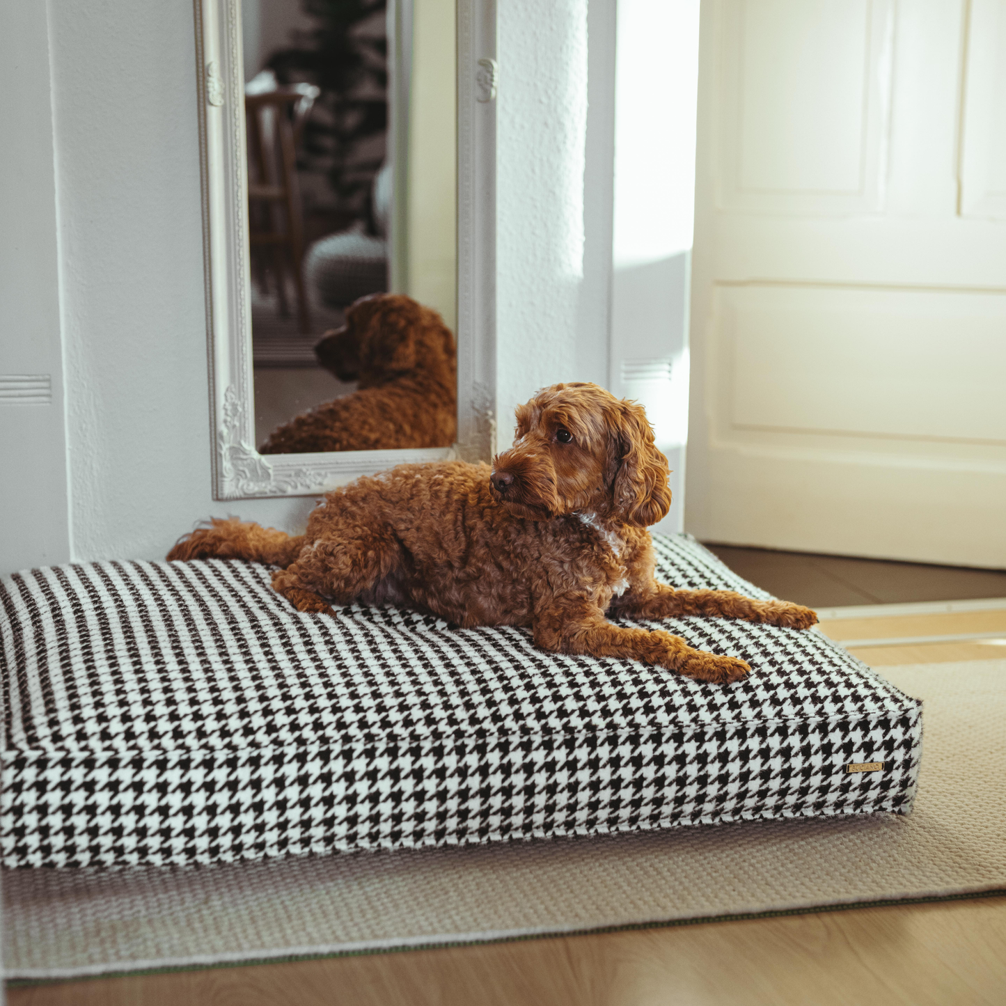 Luxus Hundekissen in Schwarz-Weiß-Muster, elegantes Interior-Design