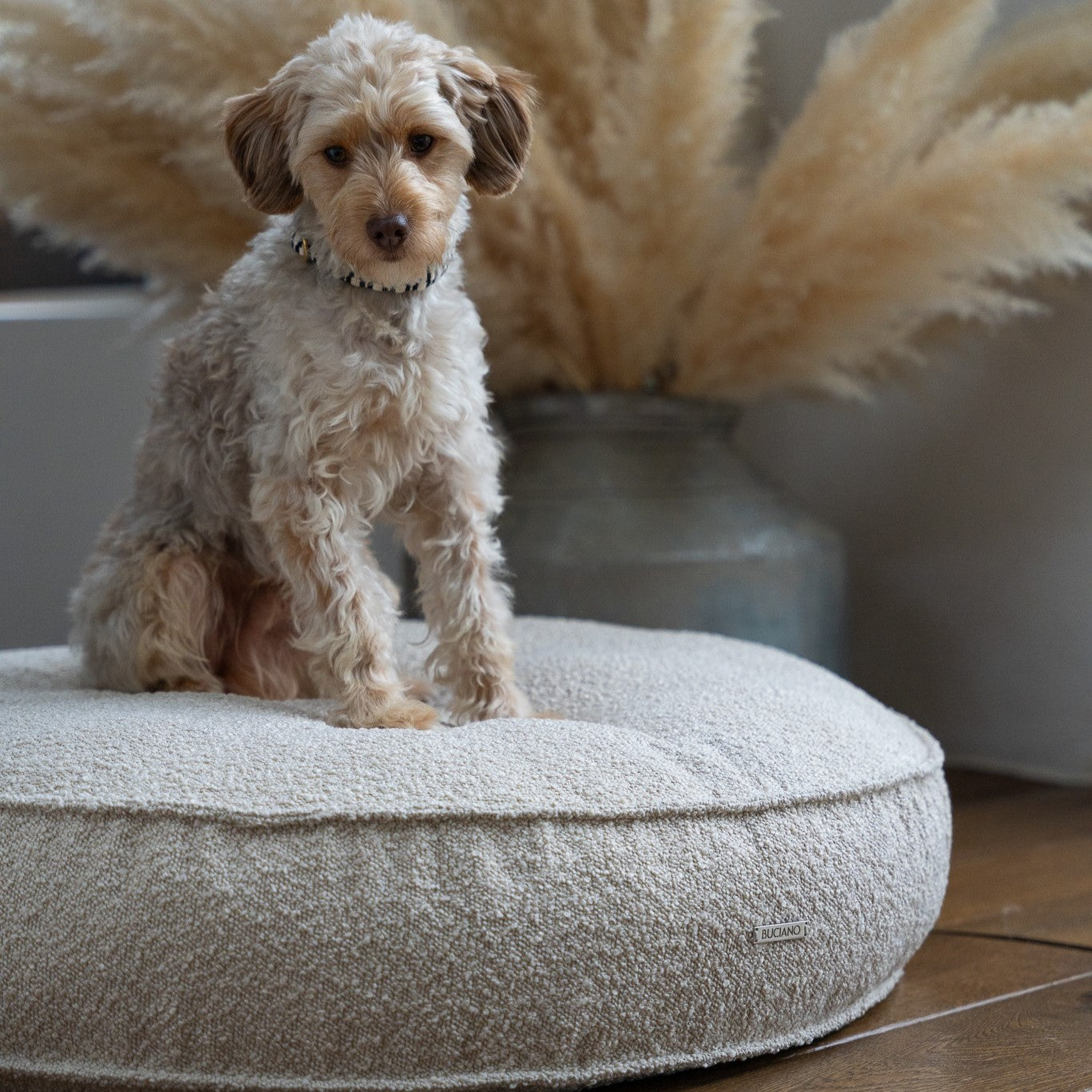 Hundekissen Juma