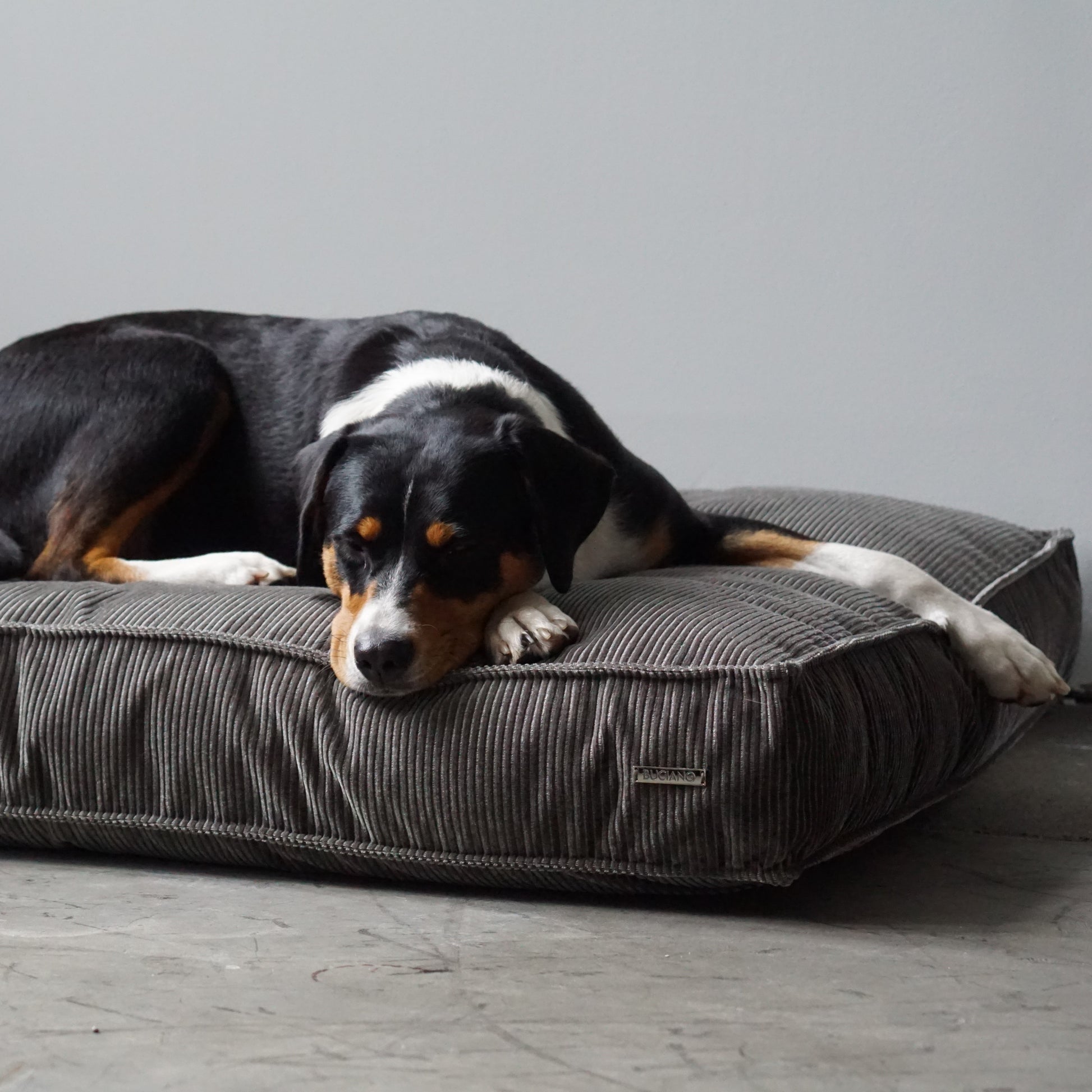Orthopädisches Design Cord Hundekissen Leia von Buciano in Grau