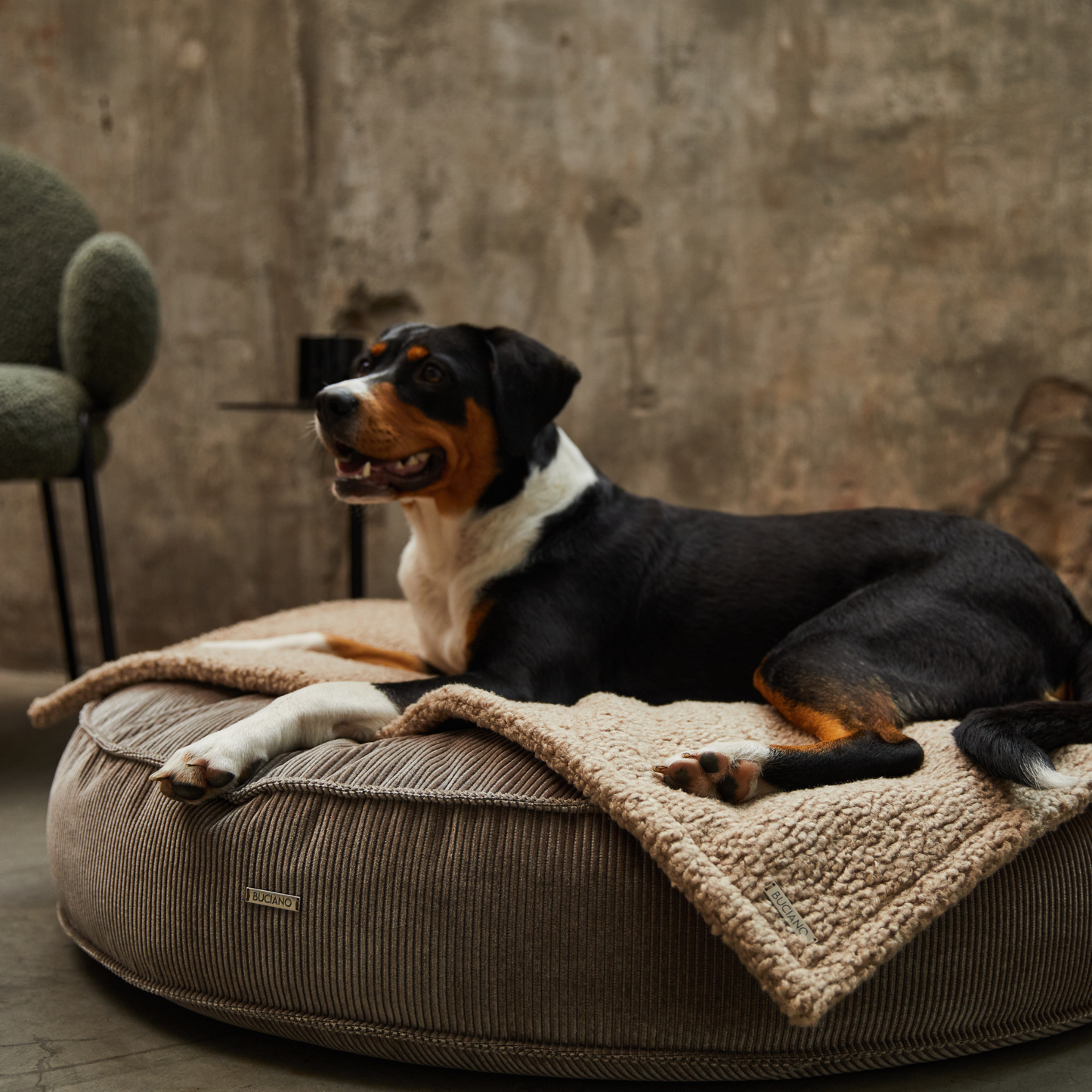 Bundle Hundekissen Mira x Decke Rubi