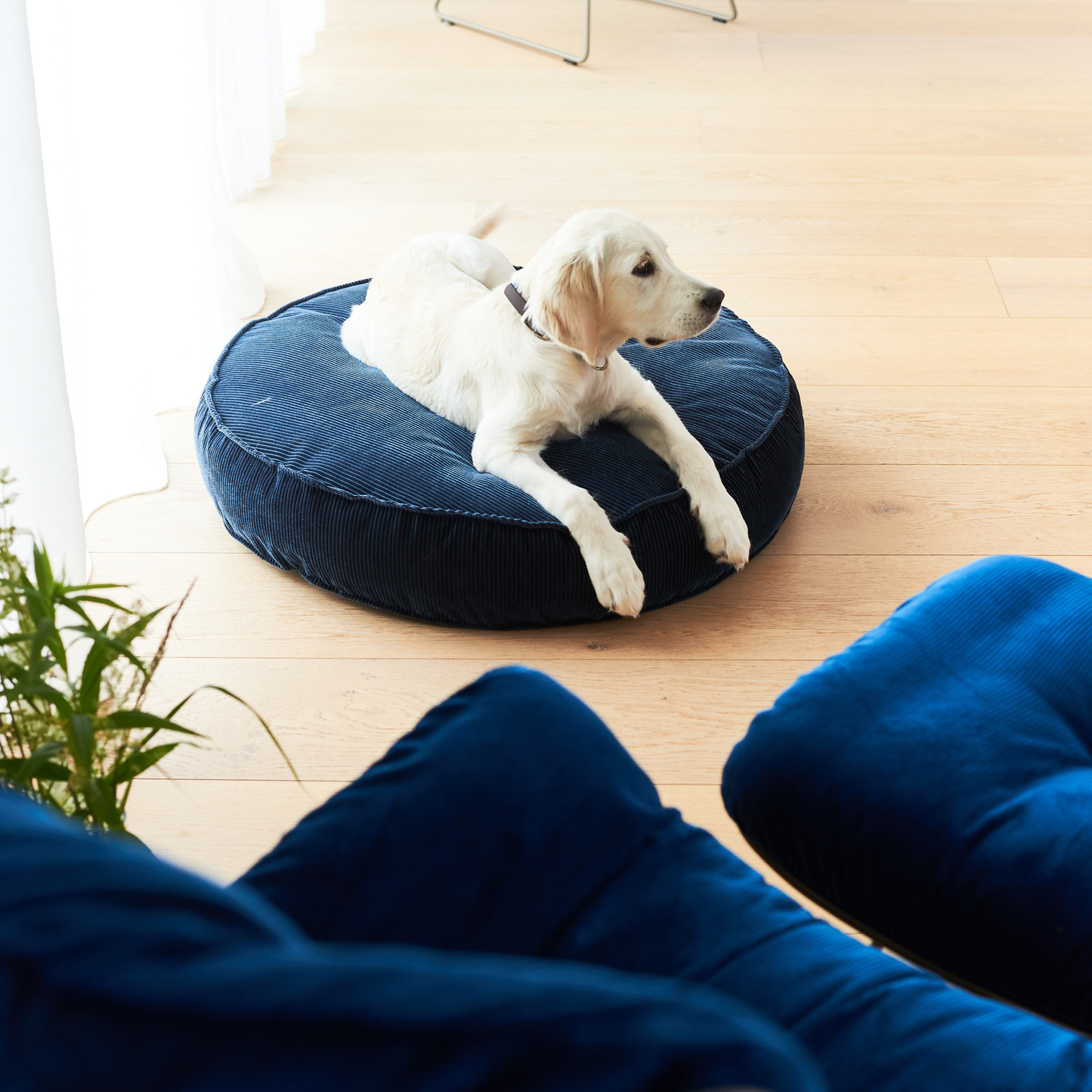 Hundekissen Mira