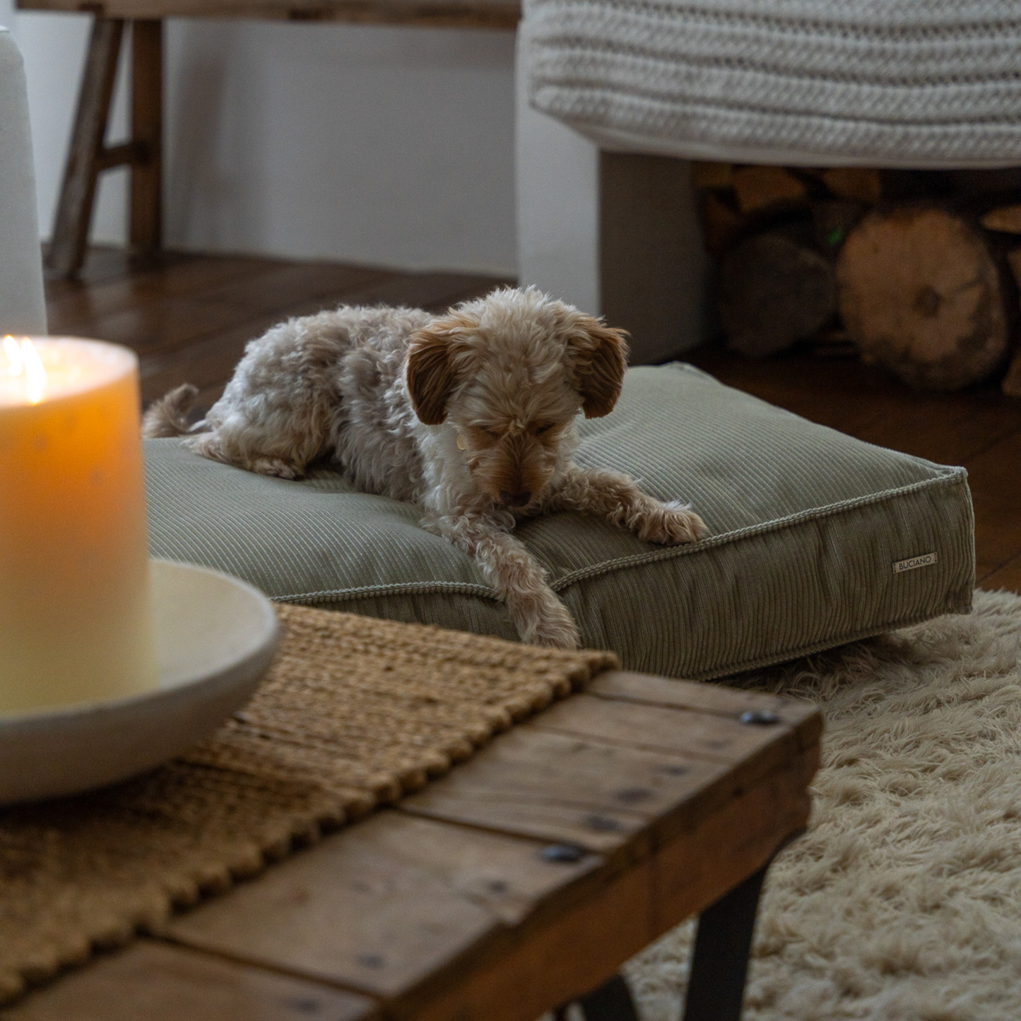 Hundekissen Leia