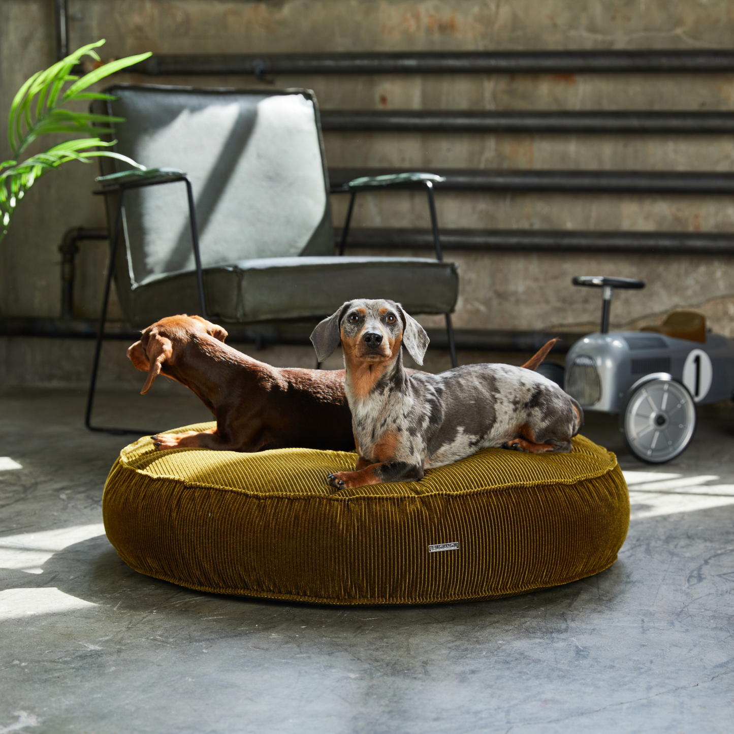 Hundekissen Mira
